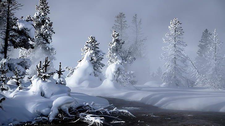 Mystic Winter (hdtv), brook, its so cool, hdtv 1080p, tree, mystik
