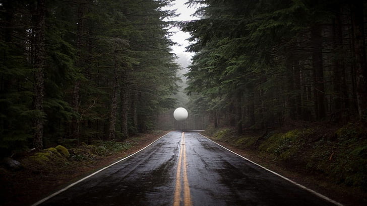 road, forest, sphere, trees, HD wallpaper