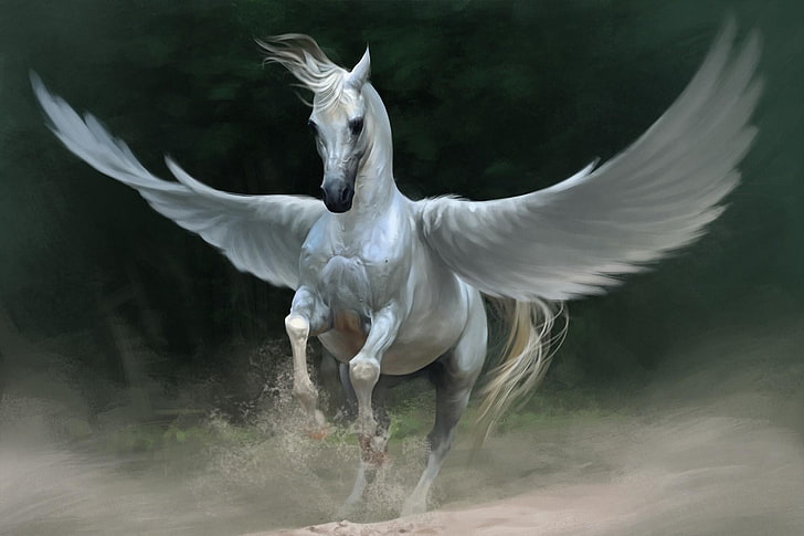 white Pegasus wallpaper, horse, wings, bird, animal, feather