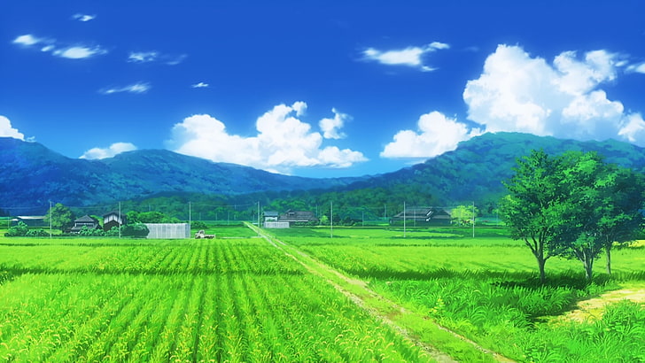 green rice field photo, Non Non Biyori, landscape, environment