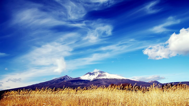 nature, landscape, mountains, clouds, snowy peak, field, grain, HD wallpaper