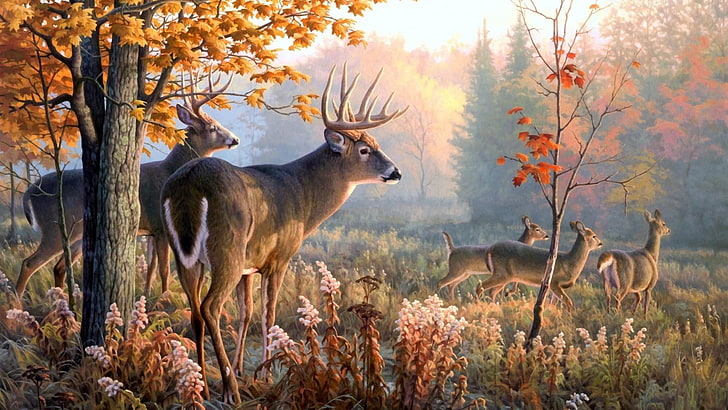 deer, stag, nature, art, field, painting, animal themes, autumn