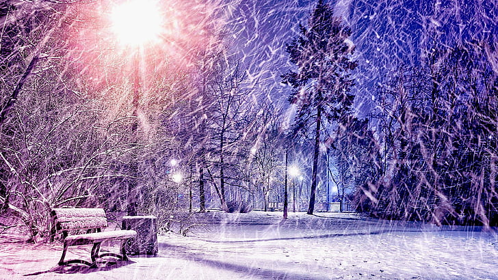 winter, evening, park, bench, snowing, HD wallpaper