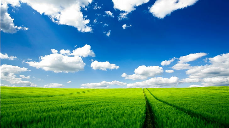 Landscape, Field, Green Field, Spring, Sky, Clouds