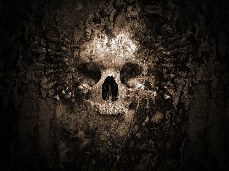 artwork, skull, HD wallpaper