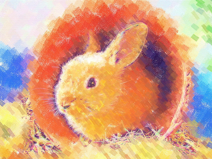 rabbits, painting, colorful, art and craft, orange color, no people, HD wallpaper