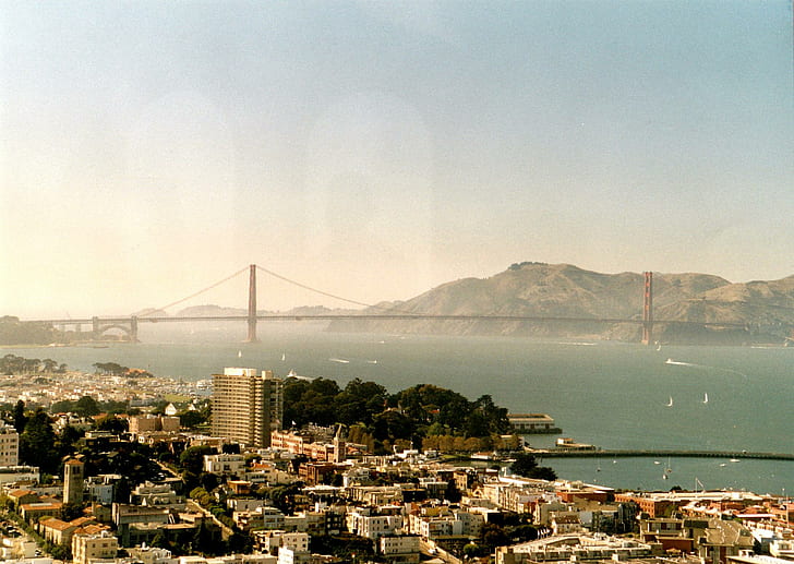 San Francisco - Golden Gate Bridge, california, animals, HD wallpaper