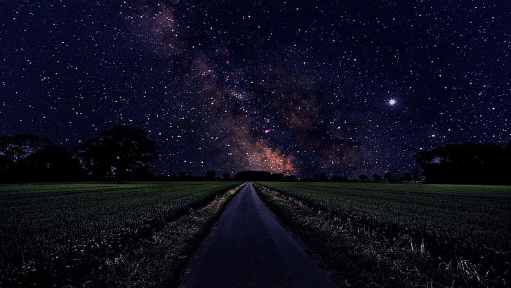 stars, grass, trees, night, path, starry, starry night, HD wallpaper