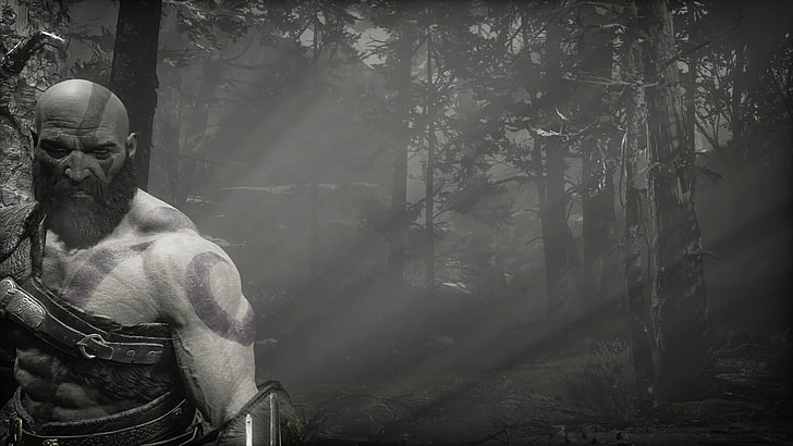 God of War (2018), tree, one person, real people, representation