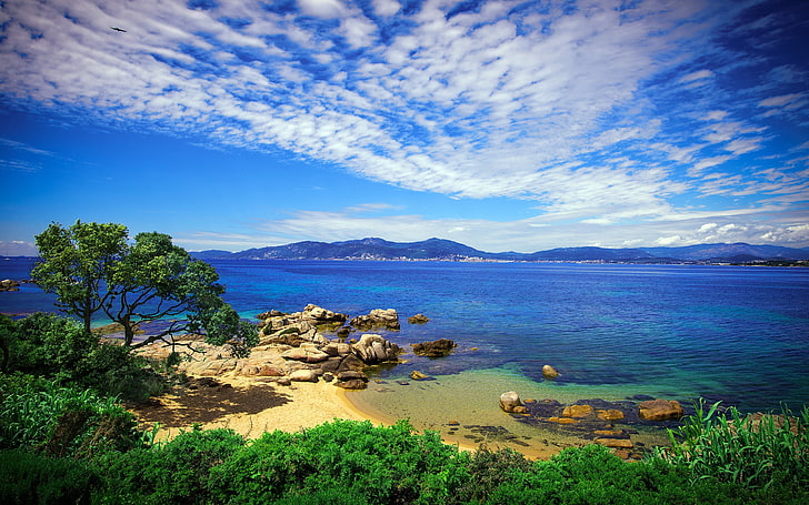 body of water, beach, sky, grass, sea, beautiful scenery, nature, HD wallpaper