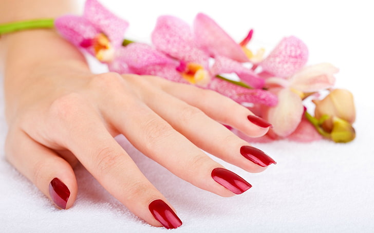 hands-nails-finger-manicure-flowers, HD wallpaper