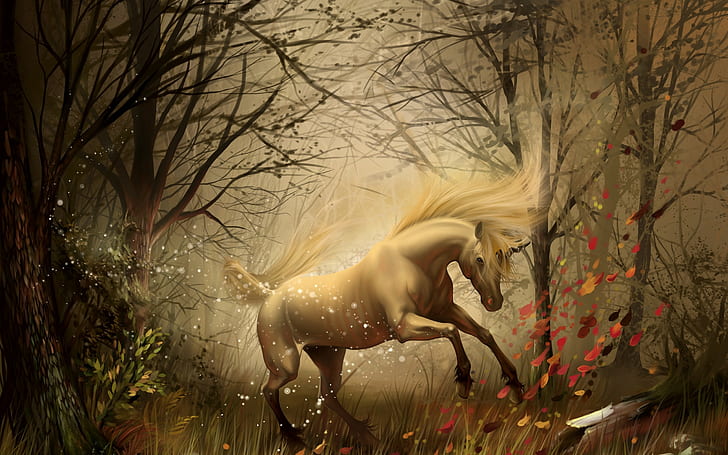 Unicorn HD, white horse image, fantasy