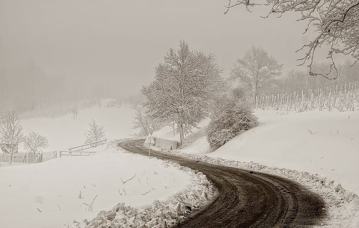winter, snow, road, mist, dirt road, white, HD wallpaper