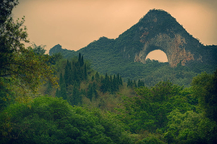 nature, landscape, trees, forest, China, Moon Hill, rock, plant