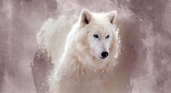1980x1080 px animals art CG digital manipulations predators wolf wolves Video Games Starcraft HD Art
