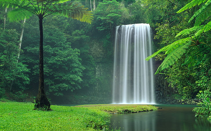 Australia, Queensland, Waterfall, 4K, Millaa Millaa Falls, HD wallpaper