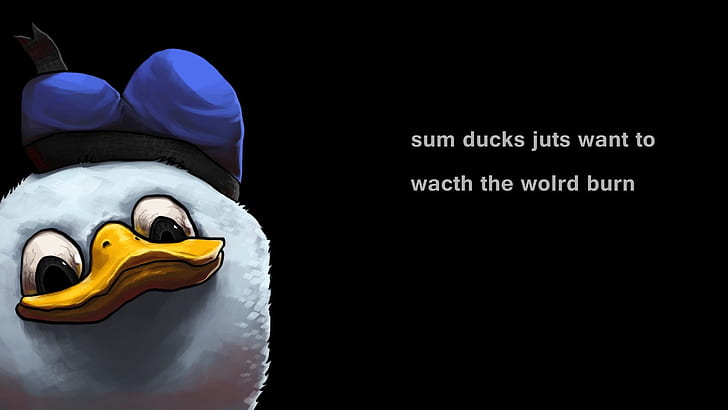 ducks funny meme dolan Animals Ducks HD Art, HD wallpaper