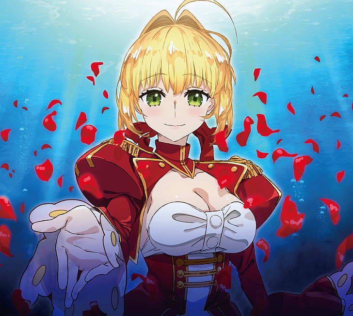 Fate Grand Order Saber Nero Claudius Anime Card Game Character Sleeve FGO   Amazoncomau Toys  Games
