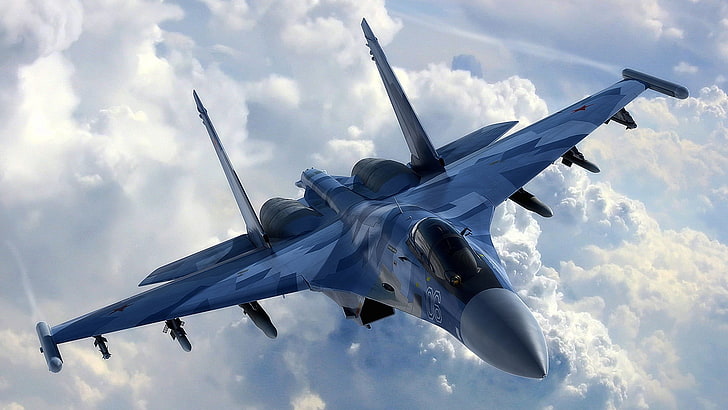gray Jet fighter, Su-27, military aircraft, vehicle