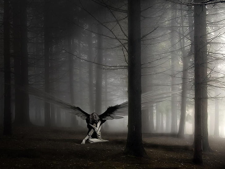 woman with wings sitting in the forest wallpaper, angel, dark