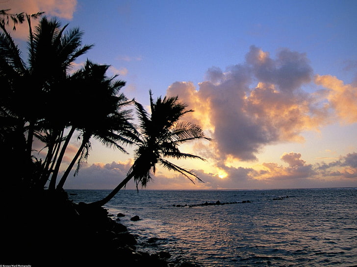landscape, sea, palm trees, tropical, coast, sunset, sky, water, HD wallpaper