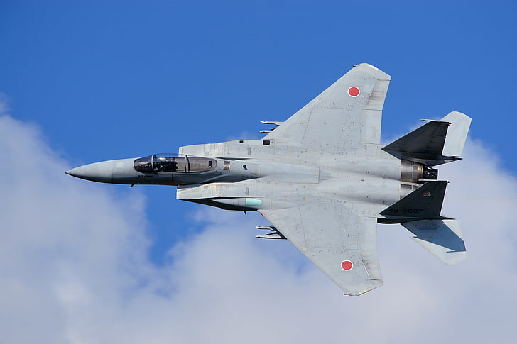 F-15j of Japan Air Self-Defense Force