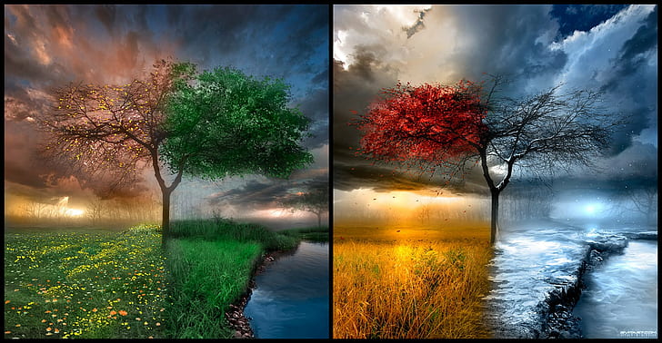 nature, seasons, clouds, water, collage, trees, summer, artwork, HD wallpaper