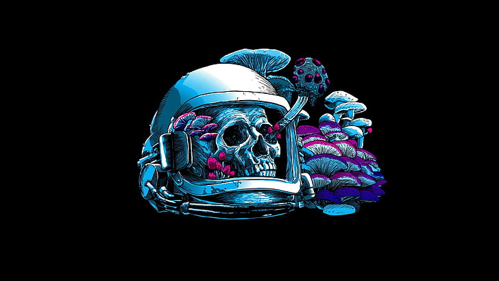 skull with helm illustration, artwork, astronaut, mushroom, helmet