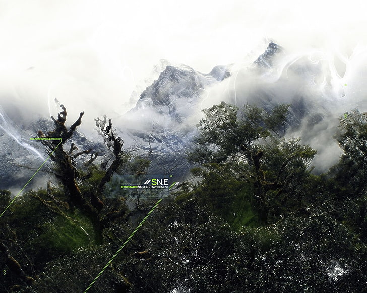 artwork, landscape, digital art, mountains, trees, plant, fog, HD wallpaper