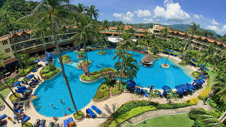 leisure, resort, swimming pool, resort town, tourism, palm, HD wallpaper