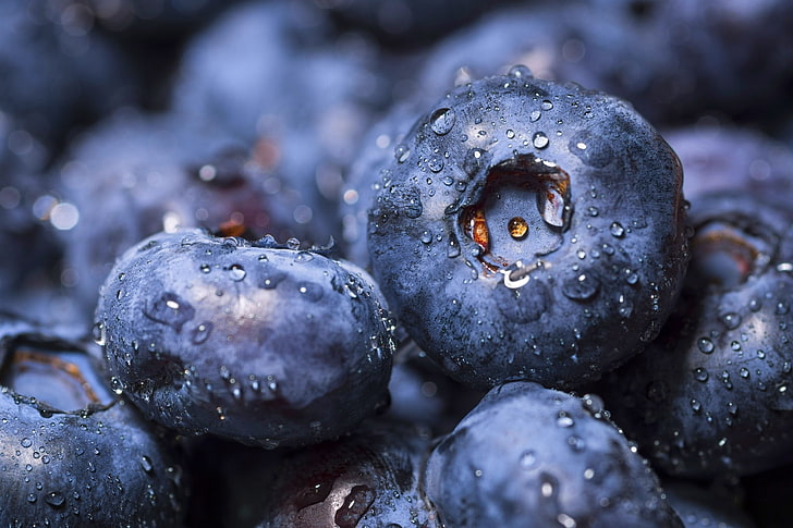 blueberry, blueberries, drops, macro, fruit, freshness, nature