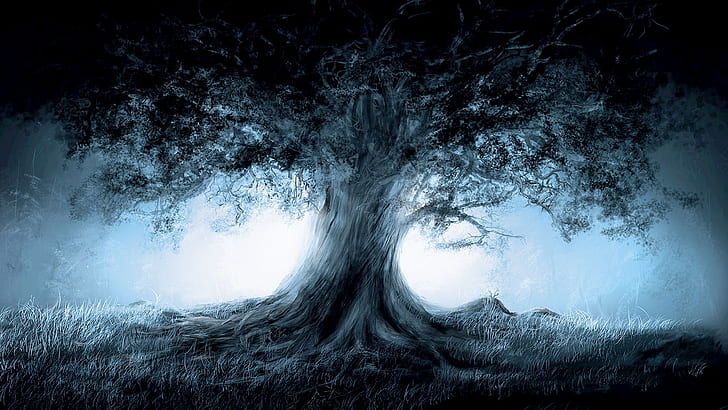 tree of life, darkness, sky, forest, HD wallpaper