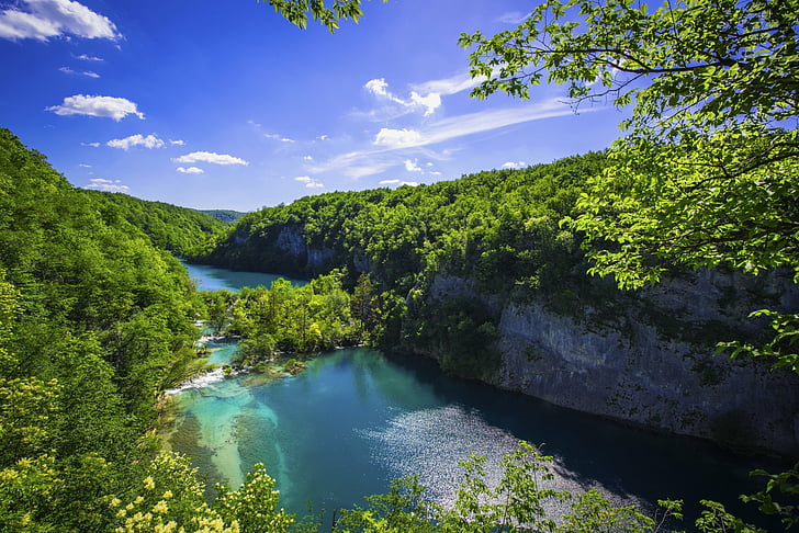 Earth, Green, Plitvice Lake, Plitvice Lake National Park, Tree, HD wallpaper