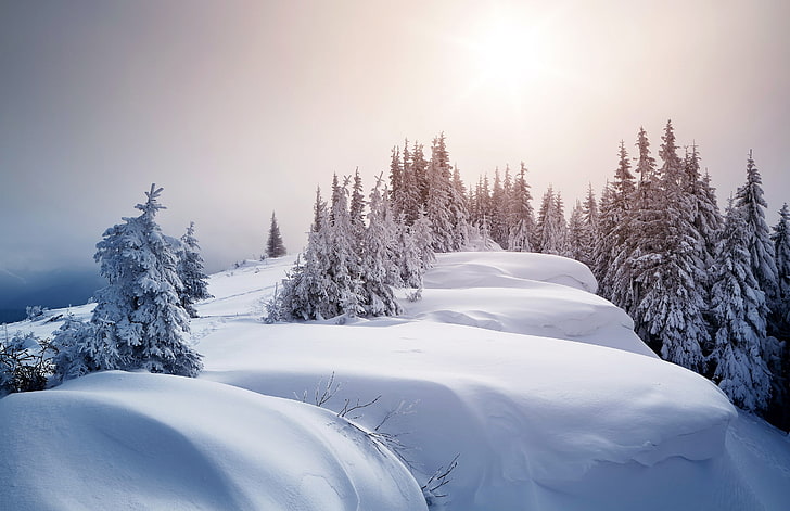 snow, ice, trees, landscape, winter, cold temperature, sky