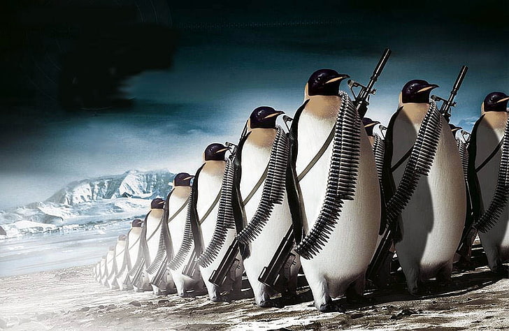 penguins carrying rifles wallpaper, Military, Other, Ice, Snow