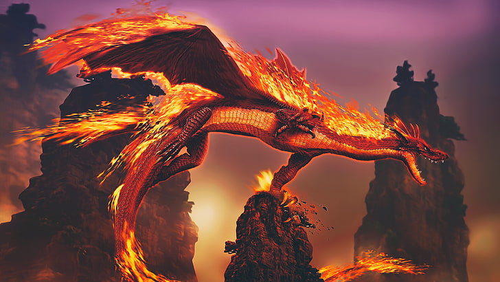 red dragon digital wallpaper, fantasy art, artwork, night, fire, HD wallpaper