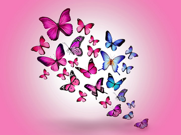 HD wallpaper: Butterflies, pink and blue butterflies graphics, Cute,  animals | Wallpaper Flare