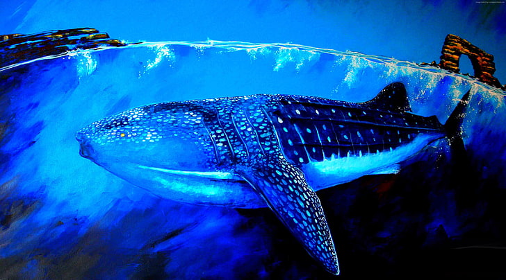 art, Whale Shark, underwater, HD wallpaper