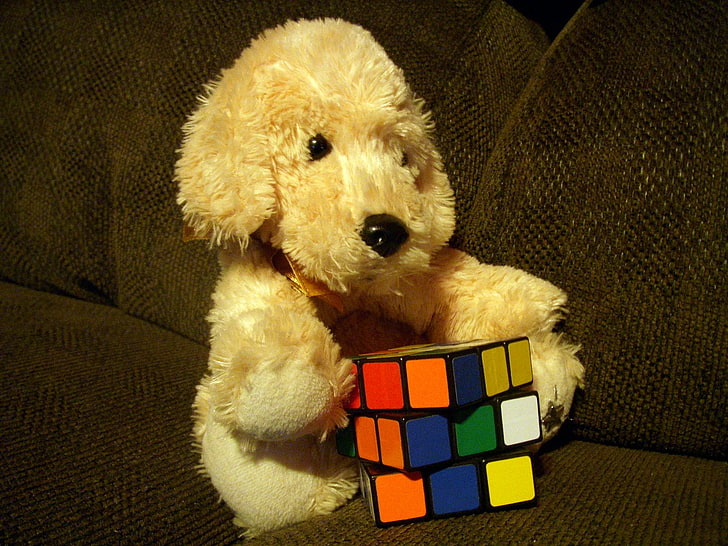animals, Couch, cube, dogs, puppies, Rubiks, Stuffed, canine, HD wallpaper
