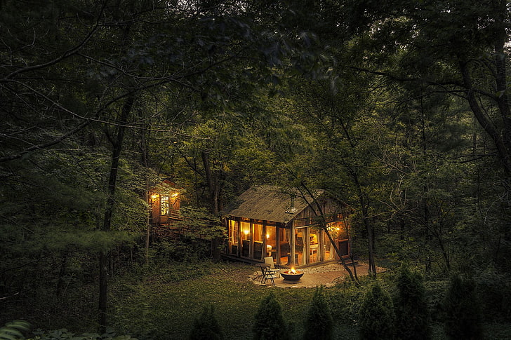 brown wooden house, lights, nature, trees, forest, cabin, fire