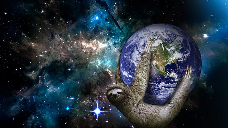 space sloth wallpaper