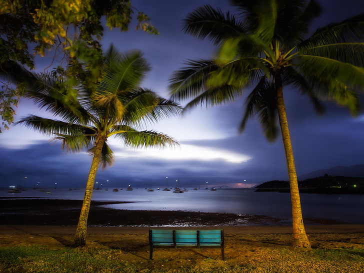 two coconut trees, landscape, nature, harbor, palm trees, bench, HD wallpaper