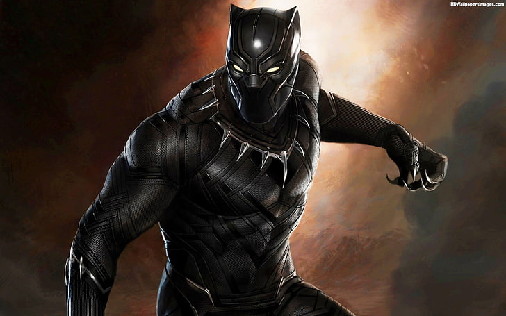 Marvel Black Panther digital wallpaper, Marvel Cinematic Universe, HD wallpaper