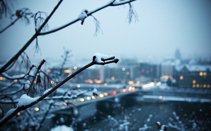 cityscape, snow, plants, bokeh, branch, winter, architecture, HD wallpaper