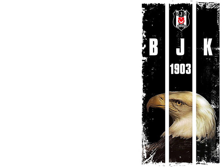 1903 Besiktas wallpaper, Besiktas J.K., eagle, Turkish, soccer clubs, HD wallpaper