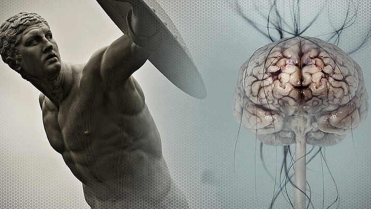 human brain illustration, sculpture, Bodybuilder, sports, ancient