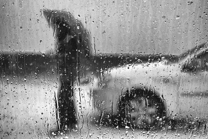 rain, wet, car, drop, raindrop, people, window, weather, HD wallpaper