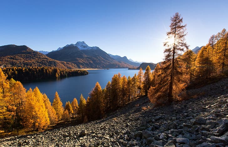 autumn, trees, mountains, lake, Switzerland, Alps, Lake Sils