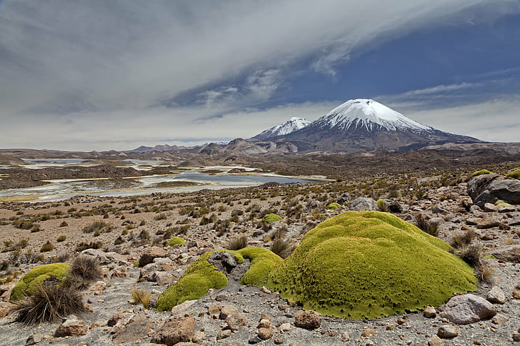 green moss formed on rocks near mountain during daytime, parinacota volcano, parinacota volcano