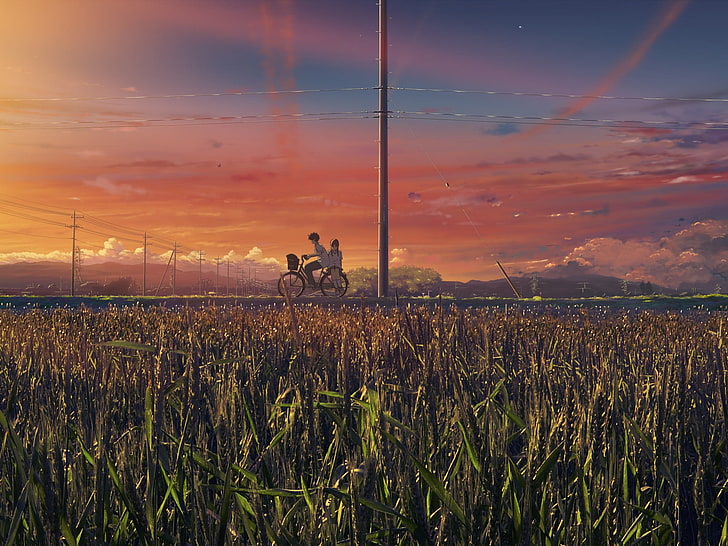 landscape, bicycle, sunset, grass, anime, field, sky, cloud - sky, HD wallpaper